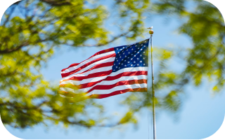 usa flag